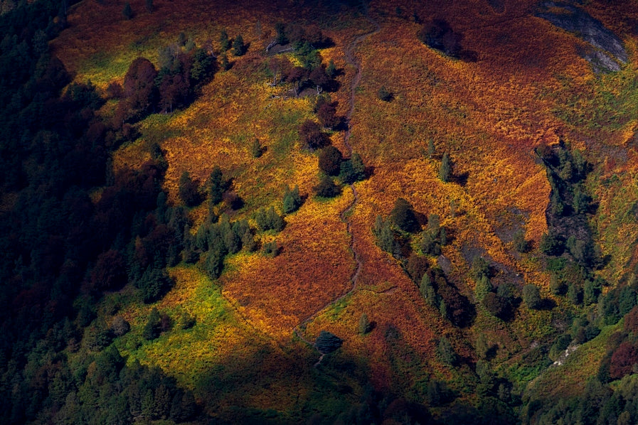 Carte naturelle
