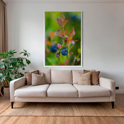 Couleur Myrtille