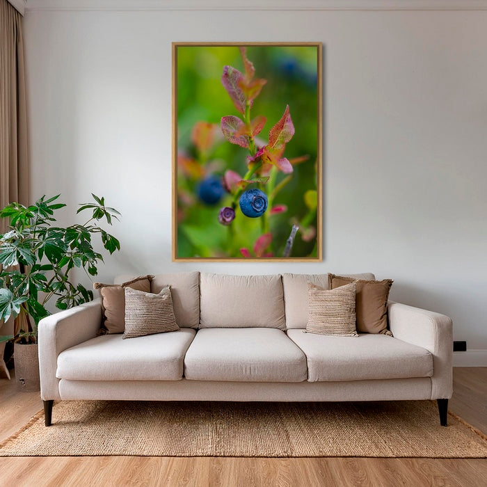 Couleur Myrtille