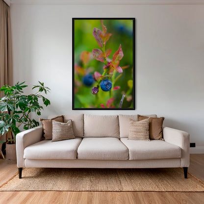 Couleur Myrtille