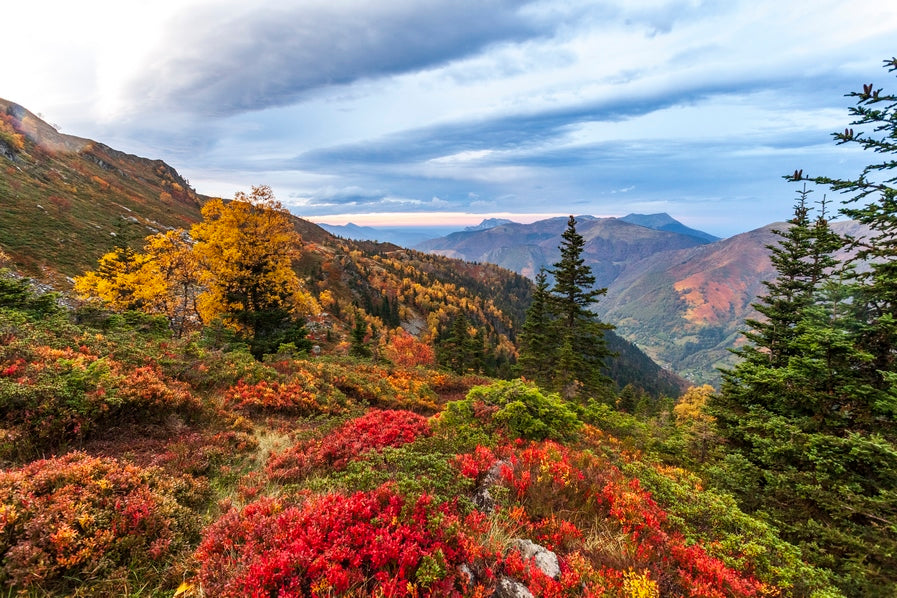 Couleurs d'automne