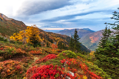Couleurs d'automne