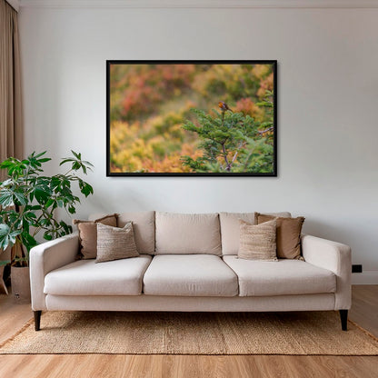 Rouge-gorge en peinture