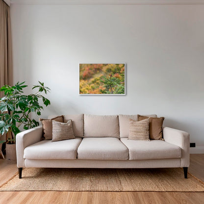 Rouge-gorge en peinture