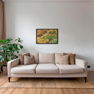 Rouge-gorge en peinture