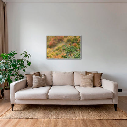 Rouge-gorge en peinture