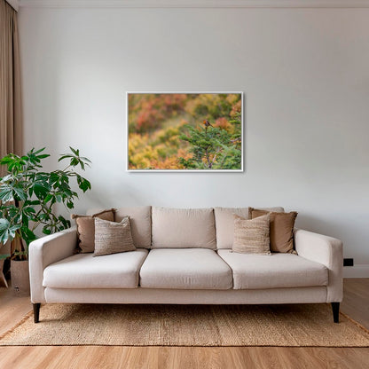 Rouge-gorge en peinture