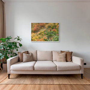 Rouge-gorge en peinture