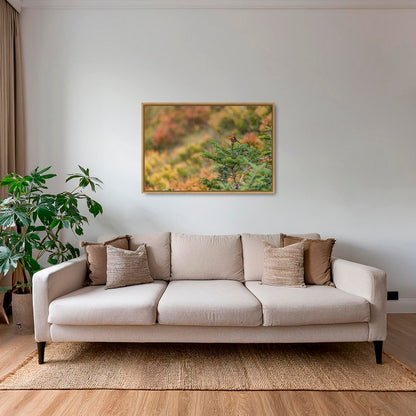 Rouge-gorge en peinture