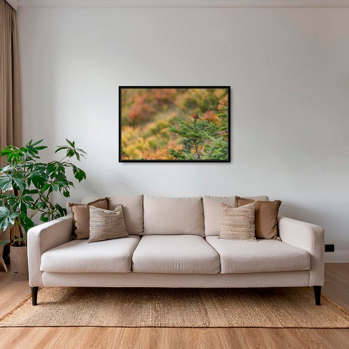 Rouge-gorge en peinture
