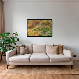 Rouge-gorge en peinture