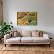 Charger l&#39;image dans la galerie, Rouge-gorge en peinture
