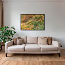 Charger l&#39;image dans la galerie, Rouge-gorge en peinture
