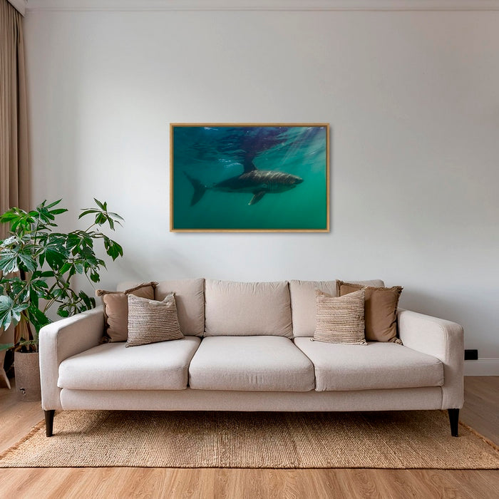 Requin saumon