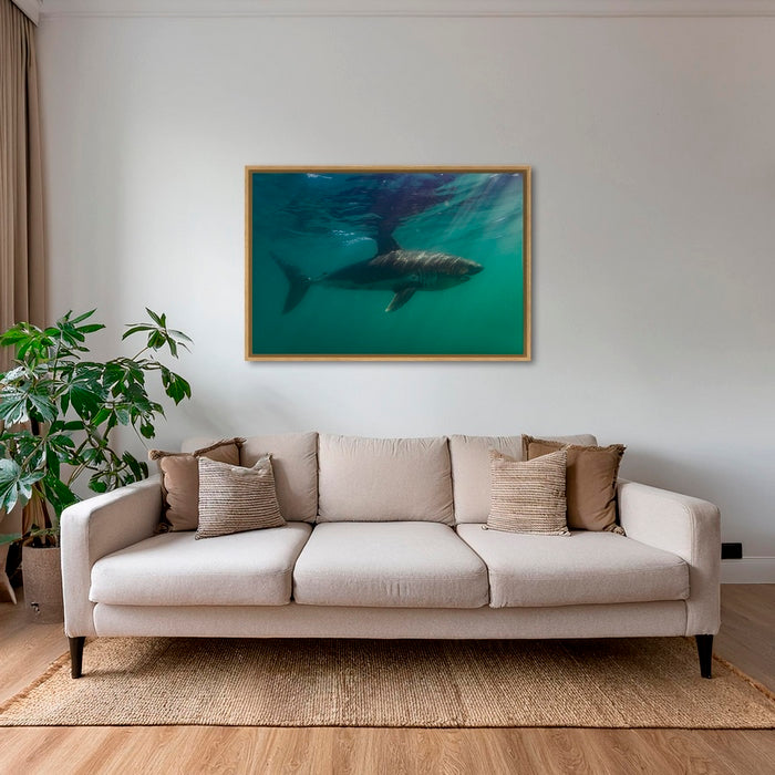 Requin saumon