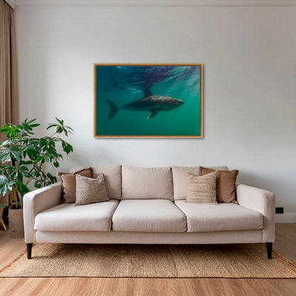 Requin saumon
