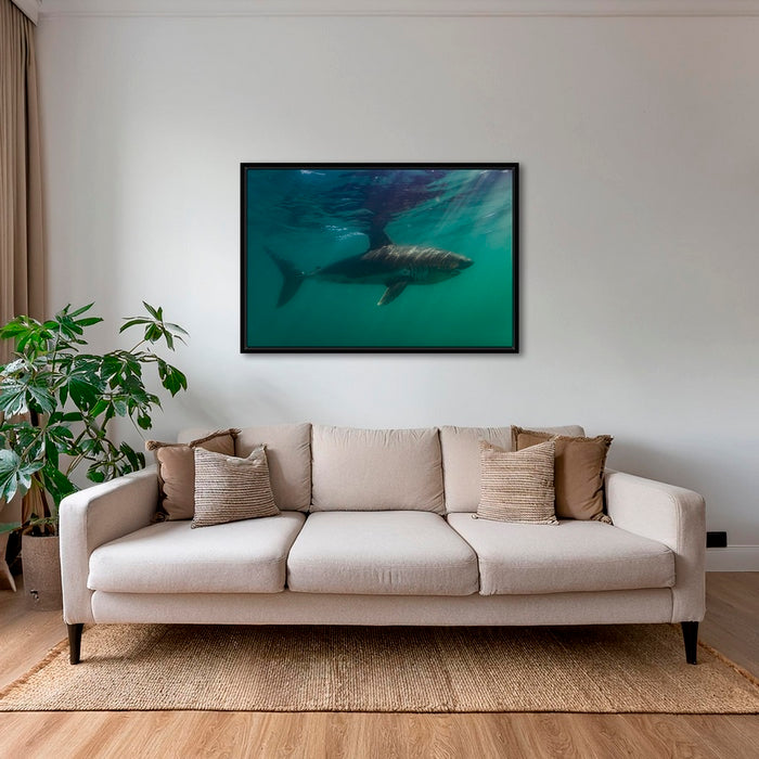 Requin saumon
