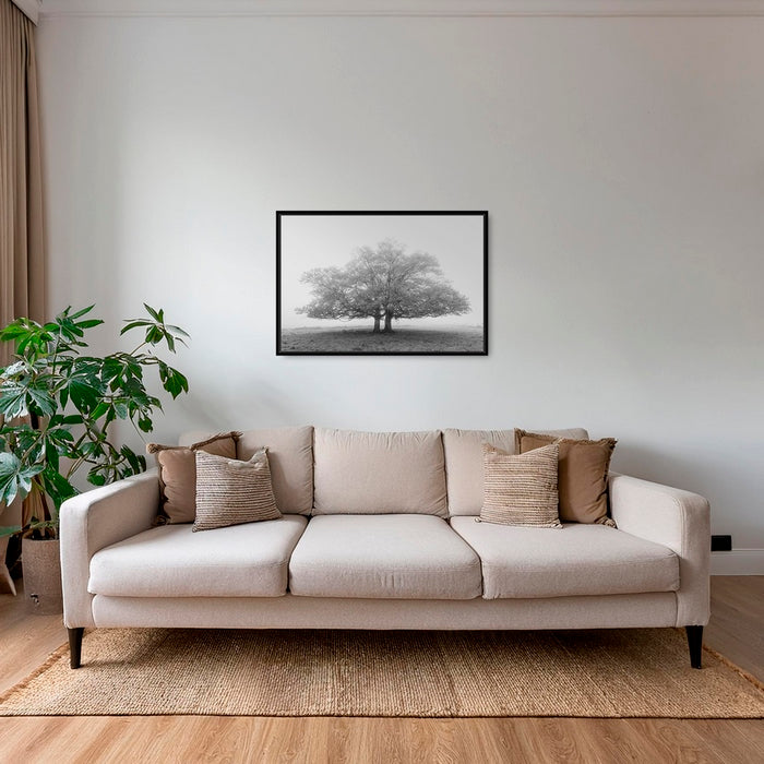 Les jumeaux 2