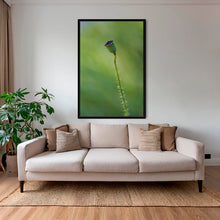 Charger l&#39;image dans la galerie, Naissance du coquelicot 3

