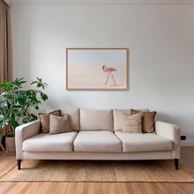 Charger l&#39;image dans la galerie, Le Flamant solitaire du Namib
