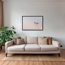 Charger l&#39;image dans la galerie, Le Flamant solitaire du Namib
