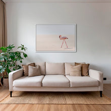 Charger l&#39;image dans la galerie, Le Flamant solitaire du Namib
