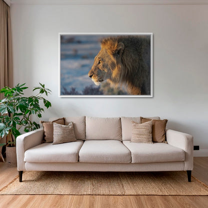 Le Roi d'Etosha