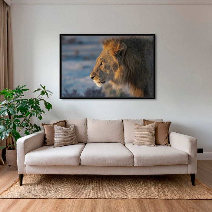 Le Roi d'Etosha