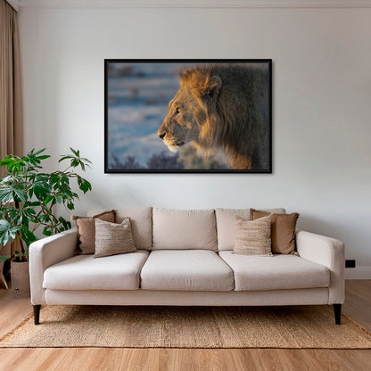 Le Roi d'Etosha