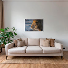 Charger l&#39;image dans la galerie, Le Roi d&#39;Etosha
