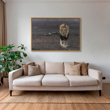 Charger l&#39;image dans la galerie, Royaume de cendres
