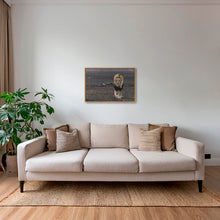 Charger l&#39;image dans la galerie, Royaume de cendres
