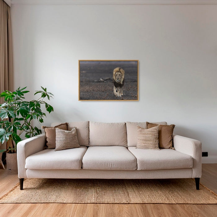 Royaume de cendres