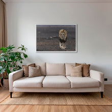 Charger l&#39;image dans la galerie, Royaume de cendres
