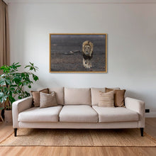 Charger l&#39;image dans la galerie, Royaume de cendres
