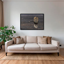 Charger l&#39;image dans la galerie, Royaume de cendres
