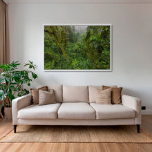 Charger l&#39;image dans la galerie, Forêt primaire
