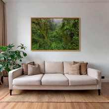 Charger l&#39;image dans la galerie, Forêt primaire
