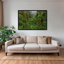 Charger l&#39;image dans la galerie, Forêt primaire
