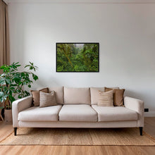 Charger l&#39;image dans la galerie, Forêt primaire
