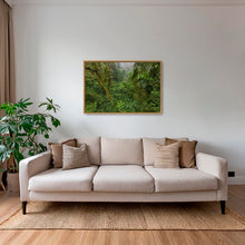 Charger l&#39;image dans la galerie, Forêt primaire
