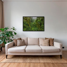 Charger l&#39;image dans la galerie, Forêt primaire
