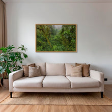 Charger l&#39;image dans la galerie, Forêt primaire

