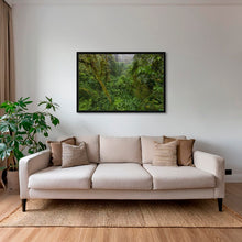 Charger l&#39;image dans la galerie, Forêt primaire
