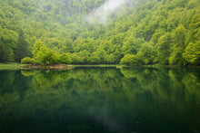 Charger l&#39;image dans la galerie, Eternel Bethmale
