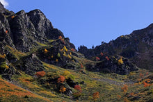 Charger l'image dans la galerie, "A la recherche de l'Ours, une année pour une photo" - RÉÉDITION 2026
