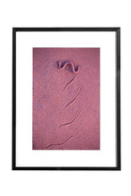 Charger l&#39;image dans la galerie, Rose de sable
