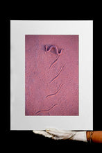 Charger l&#39;image dans la galerie, Rose de sable
