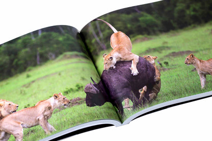 "Kenya, Rêve et Réalité"