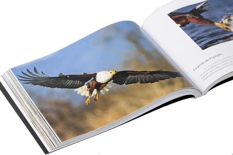 "Kenya, Rêve et Réalité"